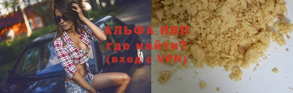 крисы Алексин
