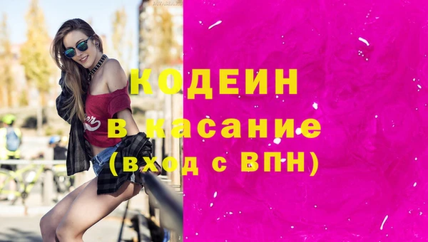 крисы Алексин