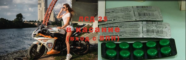 крисы Алексин